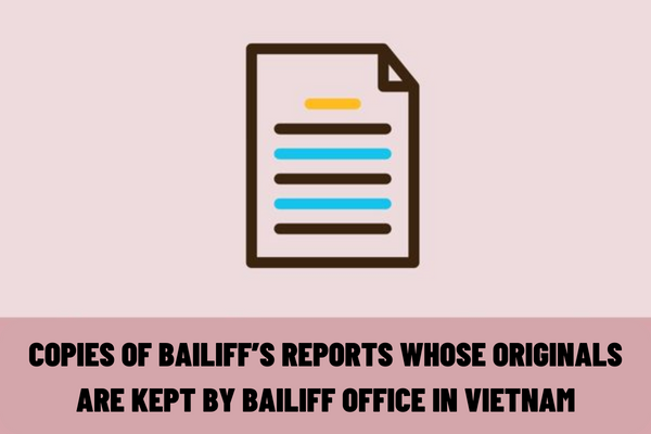 When can I apply for a copy of bailiff’s reports whose originals are kept by bailiff office in Vietnam?