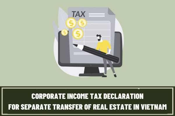 Vietnam: Instructions for making a corporate income tax declaration for separate transfer of real estate according to the latest form No. 02/TNDN?