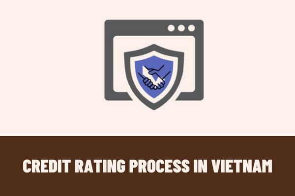 What is the credit rating process in Vietnam? What requirements does an analyst of credit rating contract need to ensure?