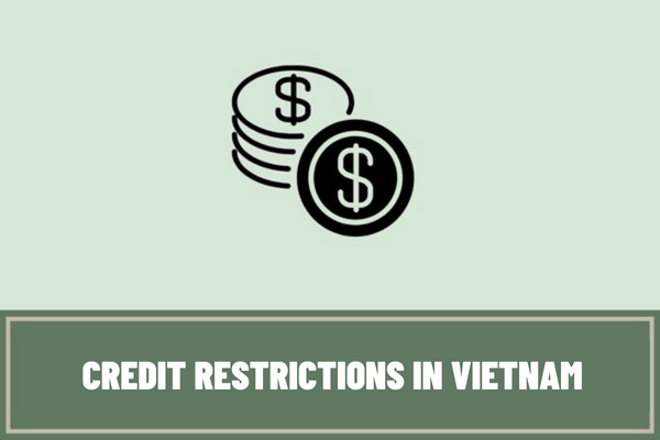 What are the cases of credit restrictions in Vietnam? What are the current regulations on cases of ineligibility for credit extension in Vietnam?