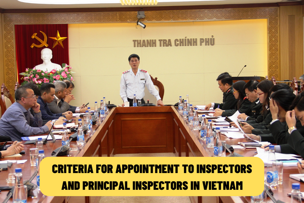 What are the criteria for appointment to inspectors and principal inspectors in Vietnam? What are the duties of inspectors and principal inspectors?