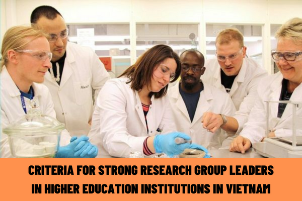 What are the criteria for strong research group leaders in higher education institutions in Vietnam? Criteria for key members of strong research groups in higher education institutions in Vietnam?