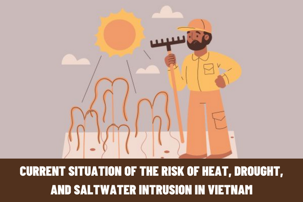 What is the current situation of the risk of heat, drought, and saltwater intrusion in Vietnam? What is the El Nino Solution?