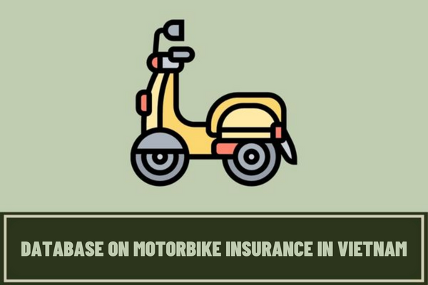 When must a motorbike insurance enterprise enter information into the database system on motorbike insurance in Vietnam?