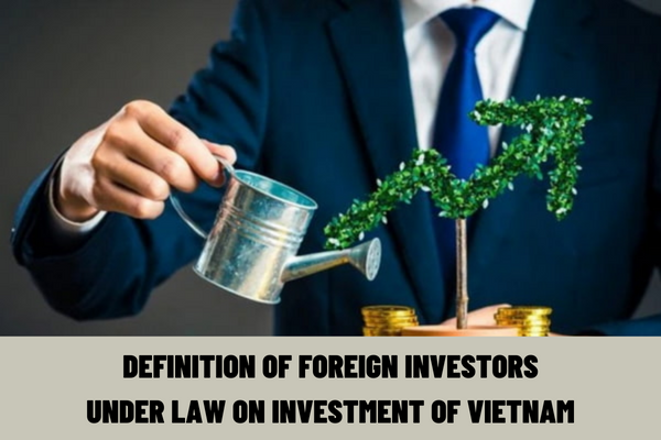 What is the definition of foreign investors under the law on investment of Vietnam? Are foreign investors prohibited from investment in any business lines?