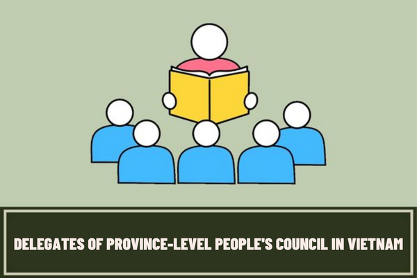 How is the total number of delegates of the Province-level People's Council determined? What are the duties of the Province-level People's Council in the implementation of the Constitution of Vietnam?