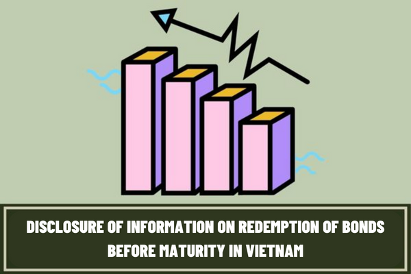 How long is the time limit for enterprises to disclose information when redeeming issued bonds before maturity in Vietnam?