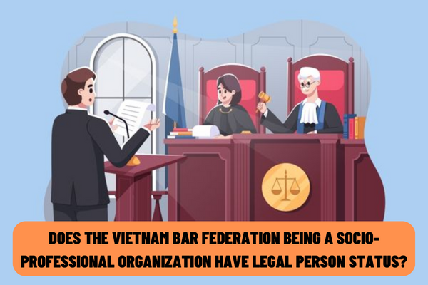 Does the Vietnam Bar Federation being a socio-professional organization have legal person status?