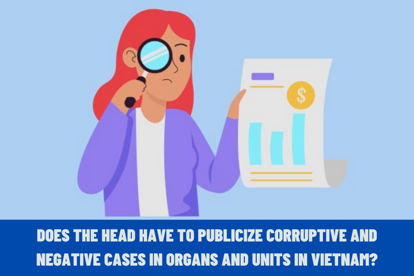 Does the head have to publicize corruptive and negative cases in organs and units in Vietnam?