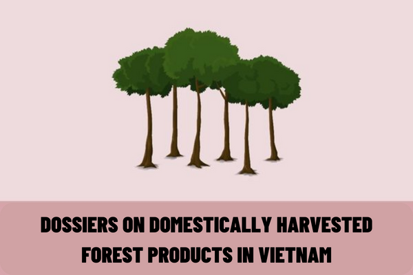 What is included in the dossiers on domestically harvested forest products in Vietnam? What is included in the dossier on confiscated forest products in Vietnam?