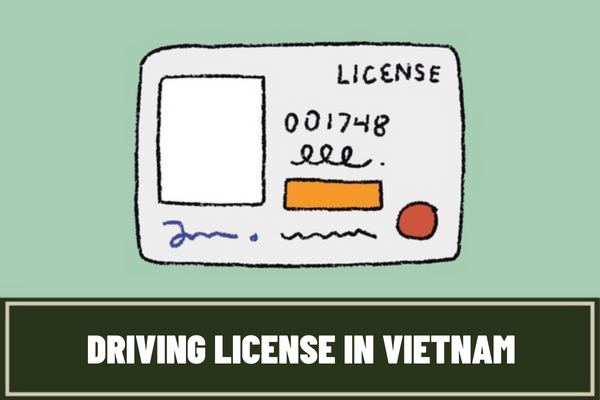 How many types of driving licenses are there in Vietnam? What is the validity period of each type of driving license in Vietnam?