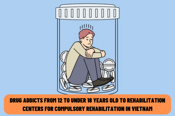 What is included in the application to send drug addicts from 12 to under 18 years old to rehabilitation centers for compulsory rehabilitation in Vietnam?