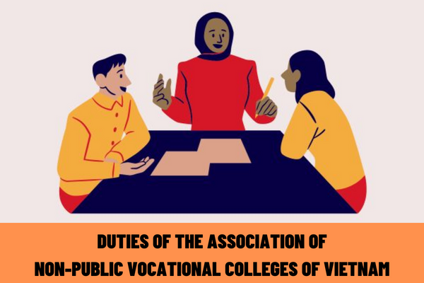 What are the duties of the Association of Non-Public Vocational Colleges of Vietnam?