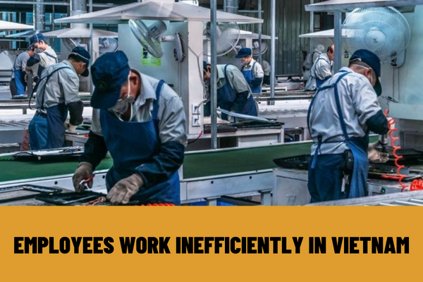 Vietnam: In case employees work inefficiently, can the enterprise unilaterally terminate the contract?