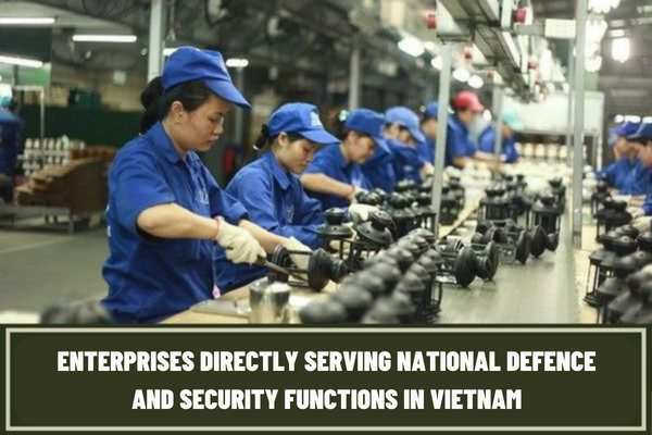 What are the policies applied to enterprises directly serving national defence and security functions in Vietnam?