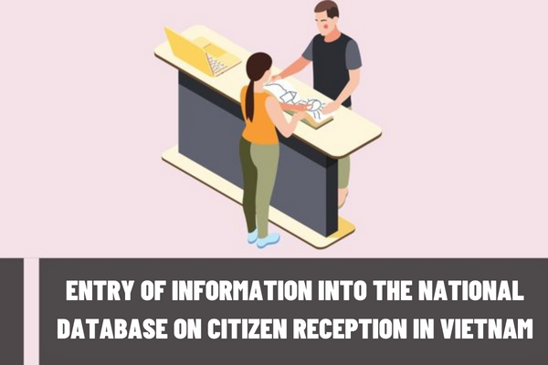 What is the time of entry of information into the national database on citizen reception, submission processing or complaint, denunciation, petition or feedback handling in Vietnam?