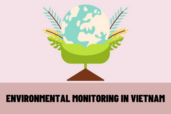 What is environmental monitoring in Vietnam? Who must join in the environmental monitoring system according to current regulations?