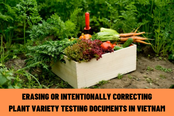 How much is the fine for erasing or intentionally correcting plant variety testing documents in Vietnam according to the new regulations?