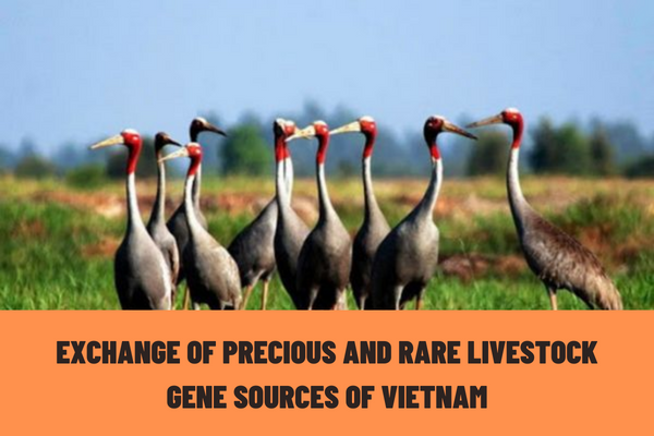 Is it possible to exchange precious and rare livestock gene sources of Vietnam to a third party?