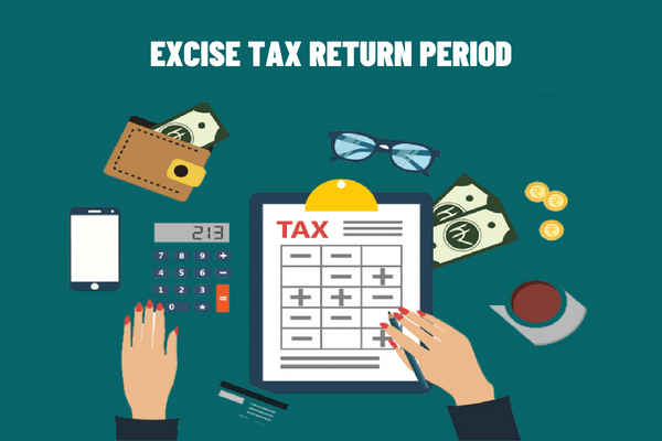 What are the regulations on the excise tax return period in Vietnam ...