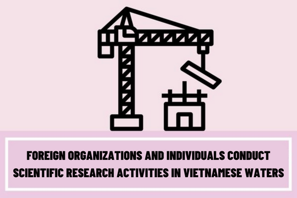 Can foreign organizations and individuals conduct scientific research activities in Vietnamese waters?