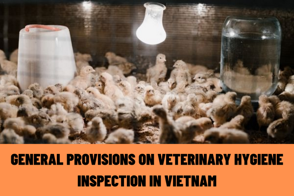 What are the general provisions on veterinary hygiene inspection in Vietnam? What are the veterinary hygiene standards for establishments that carry out slaughter of terrestrial animals in Vietnam?