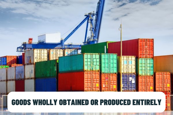 What goods are considered as goods wholly obtained or produced entirely in the ASEAN-Japan Comprehensive Economic Partnership Agreement in Vietnam?