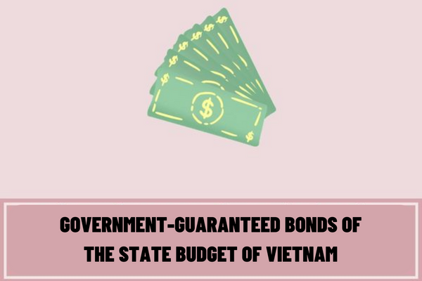 What are the purposes of using the proceeds from the issuance of government-guaranteed bonds of the state budget of Vietnam?