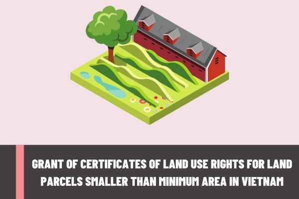 What are the cases of grant of certificates of land use rights for land parcels smaller than the prescribed minimum area in Vietnam?