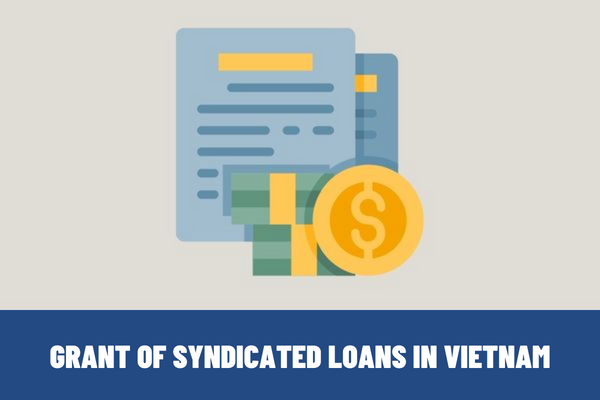 What is grant of syndicated loans in Vietnam? Which organizations grant syndicated loans in Vietnam?