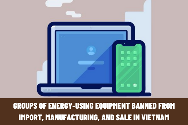 Which groups of energy-using equipment are banned from import, manufacturing, and sale in Vietnam?