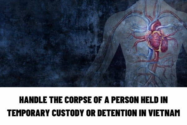 Vietnam: How to handle the corpse of a person held in temporary custody or detention when relatives do not receive the corpse?