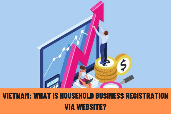 Vietnam: What is household business registration via website? When is the application for household business registration via website approved?