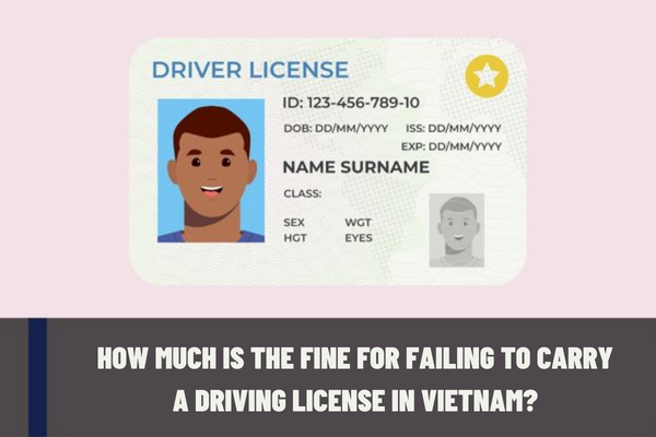 How much is the fine for failing to carry a driving license in Vietnam? 02 ways to prove that you forgot to carry your driving license?