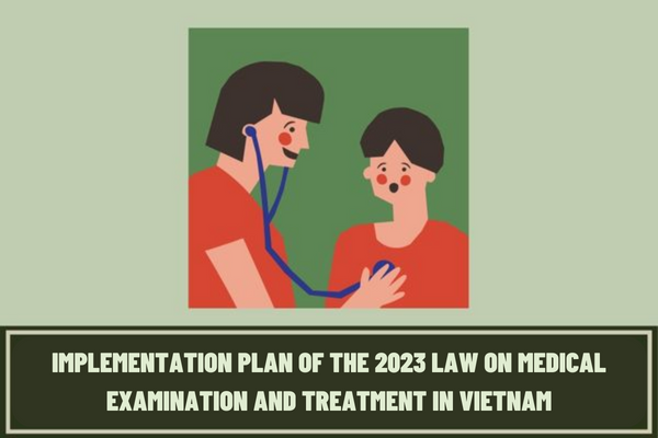 What are the contents of the implementation plan of the 2023 Law on Medical Examination and Treatment promulgated by the Government of Vietnam?