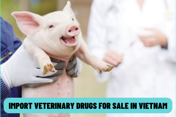 Do I need to apply for a license to import veterinary drugs for sale? What are the rights and obligations of importers of veterinary drugs in Vietnam?