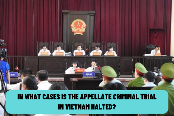 In what cases is the appellate criminal trial in Vietnam halted? How long is the duration of a halt to an appellate criminal trial in Vietnam?