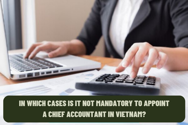 In which cases is it not mandatory to appoint a chief accountant in Vietnam? Must a chief accountant have a bachelor's degree?