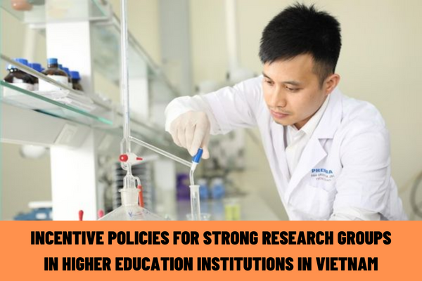 What incentive policies does the State have for strong research groups in higher education institutions in Vietnam?