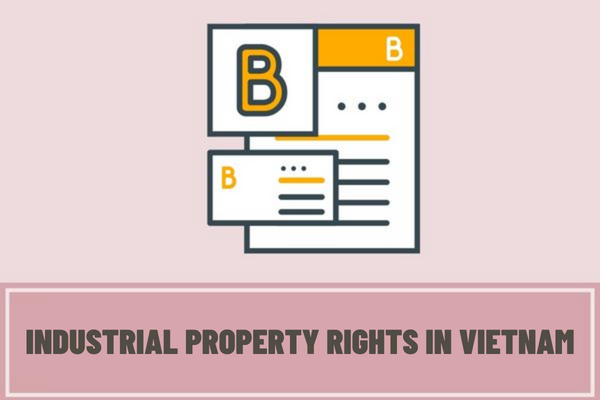 What is the subject matter of industrial property rights in Vietnam? What is included in an application for registration of industrial property rights in Vietnam?