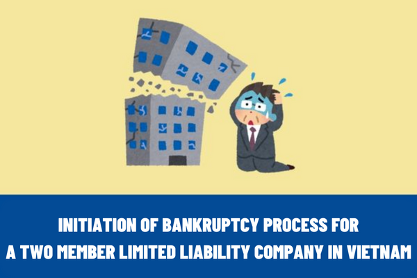 Vietnam: What are the regulations on the sequence of redistribution of assets when a two member limited liability company goes bankrupt?