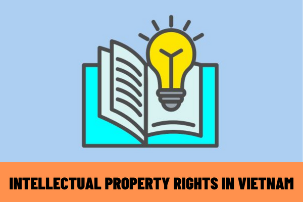 What are intellectual property rights in Vietnam? What are the grounds for the generation and establishment of intellectual property rights in Vietnam?