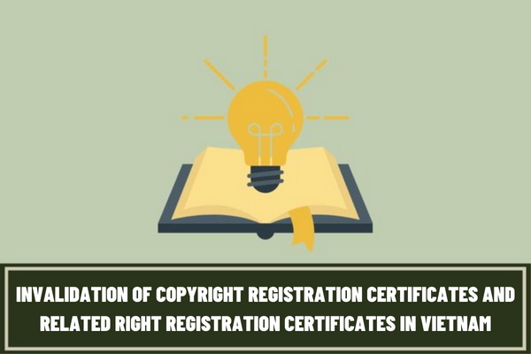 What is the application form for invalidation of copyright registration certificates and related right registration certificates in Vietnam?
