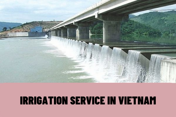 What is irrigation service in Vietnam? What are the contents of contracts for supply of irrigation products or services in Vietnam?