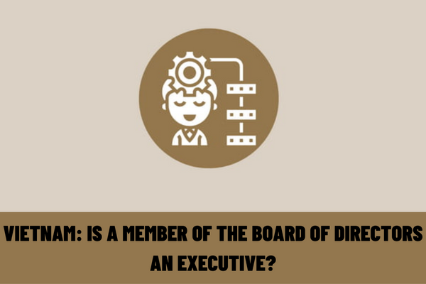 Is a member of the Board of Directors an executive? What are the requirements to be fulfilled by members of the Board of Directors in Vietnam?