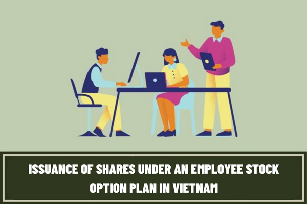 What are the conditions for a public company to issue shares under an employee stock option plan in Vietnam?