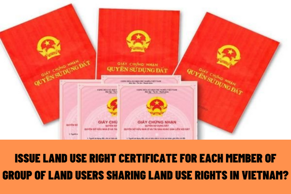 Is it possible to issue a land use right certificate for each member of the group of land users sharing land use rights in Vietnam?