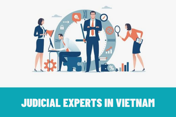 What are the criteria for appointment of judicial experts in Vietnam? What are the cases in which the persons may not be appointed as judicial experts in Vietnam?