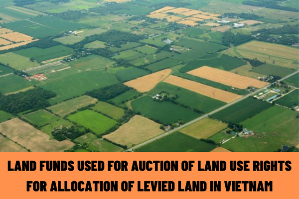 What are the land funds used for auction of land use rights for allocation of levied land in Vietnam? What is included in the documents on auctioned land plots?