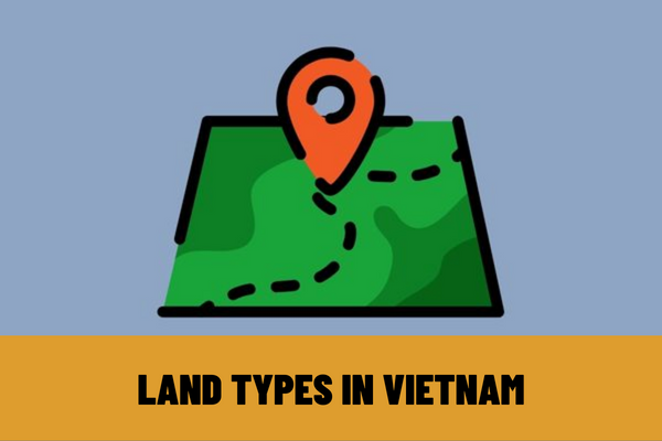 What are the bases for determining land types in Vietnam? How many types of land are there according to the current land law?